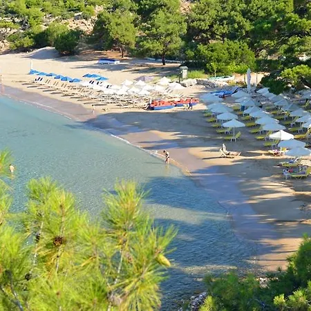 Royal Paradise & - Adults Friendly Potos