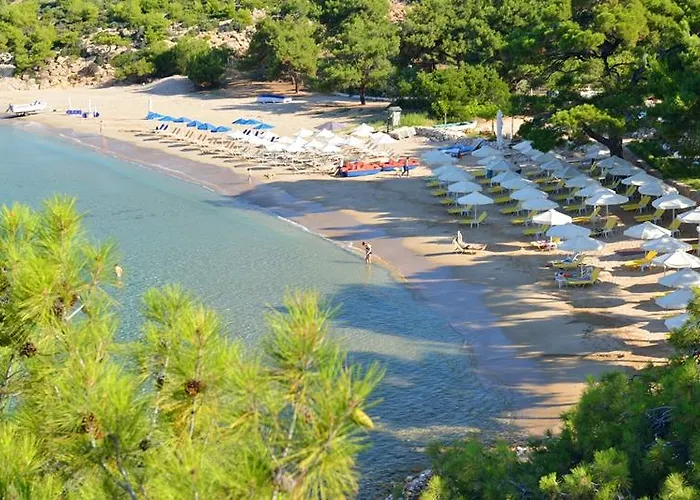 Royal Paradise & - Adults Friendly ポトス