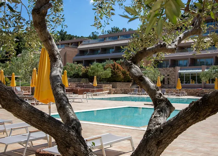 Royal Paradise & - Adults Friendly ポトス