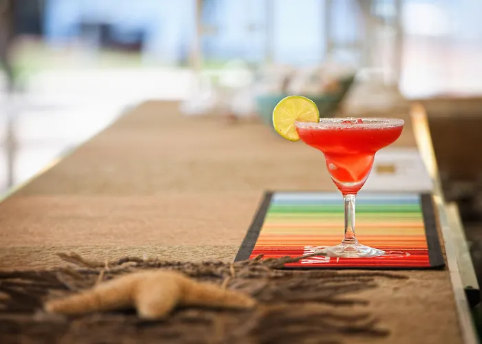 Royal Paradise & - Adults Friendly ポトス